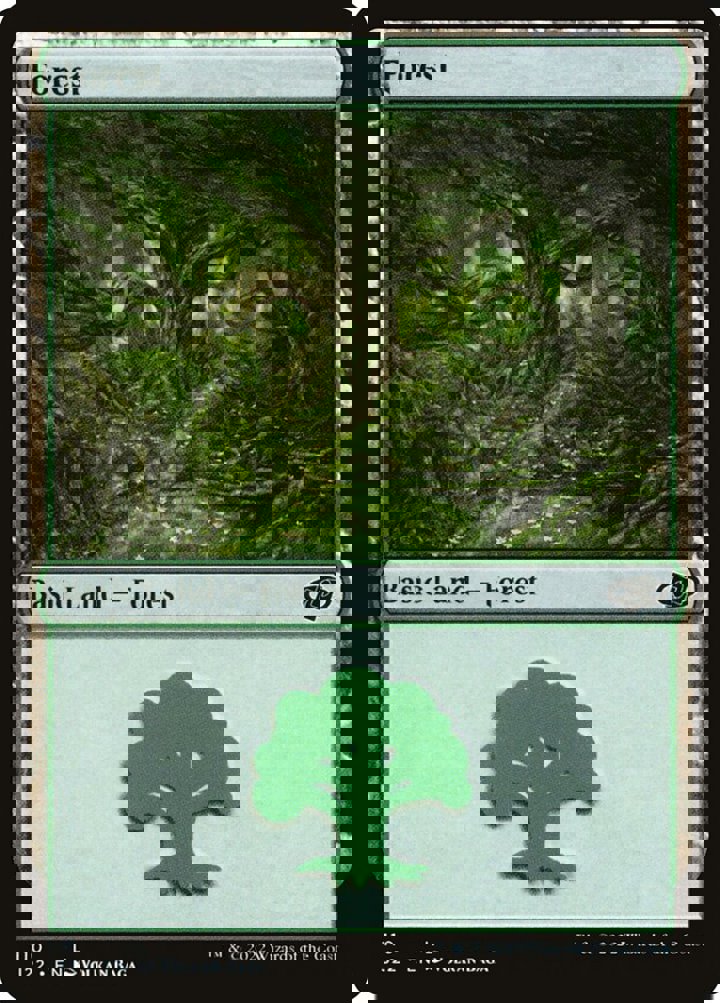 Forest (V.1)