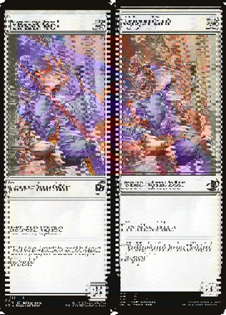 Nightguard Patrol