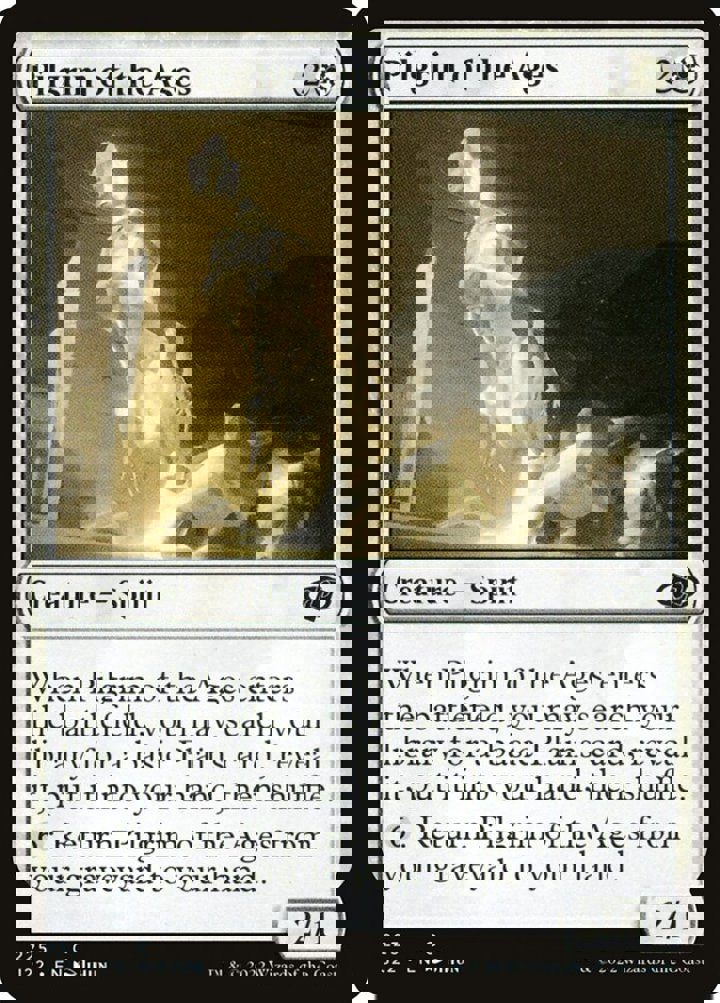 Pilgrim of the Ages