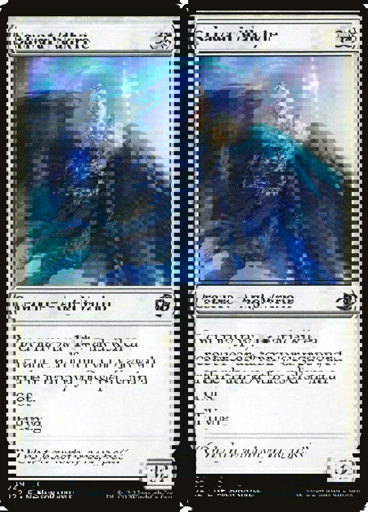 Stalwart Valkyrie