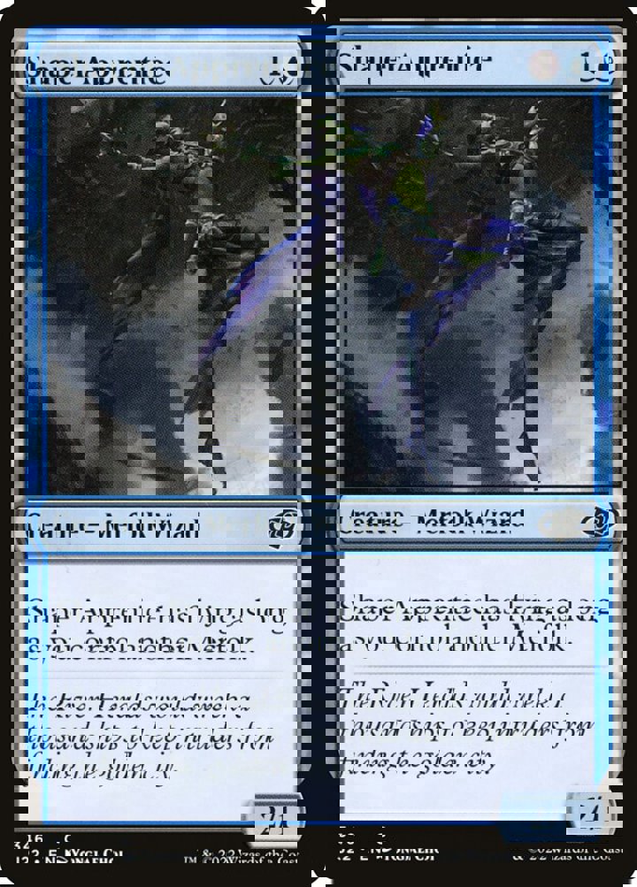 Shaper Apprentice