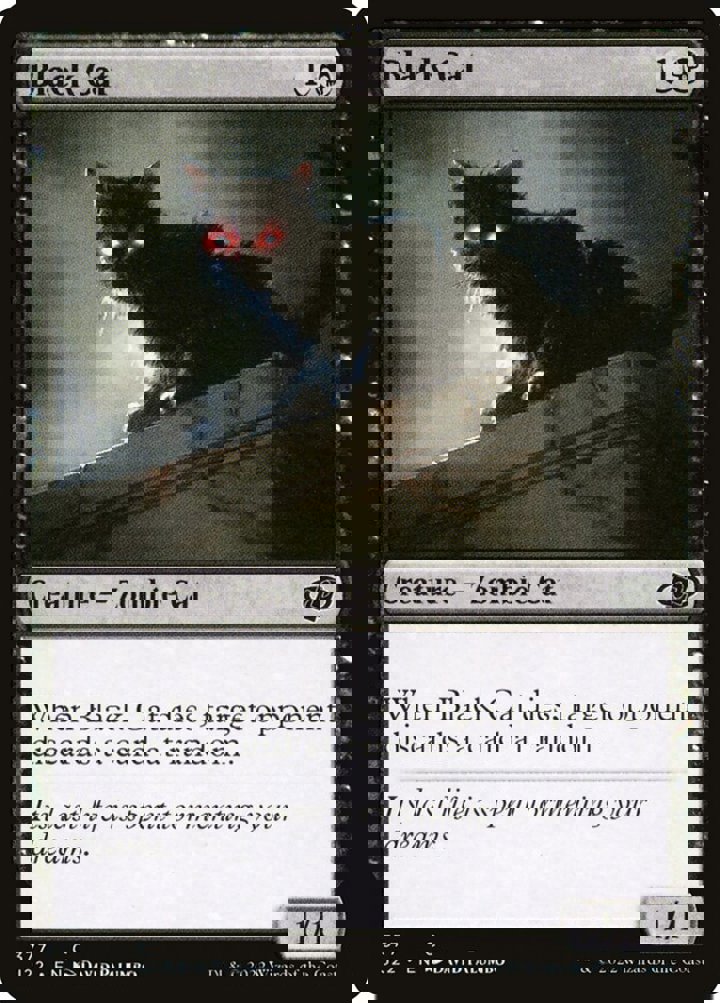 Black Cat
