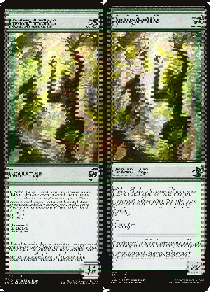 Hooting Mandrills