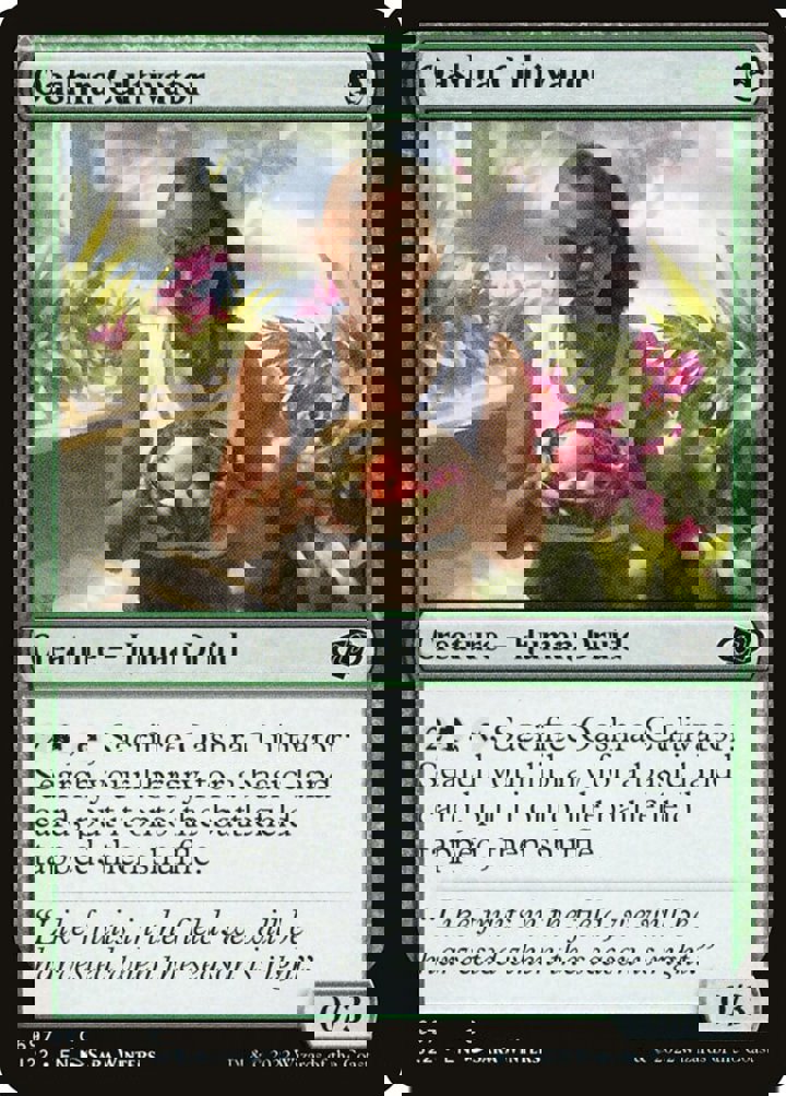 Oashra Cultivator