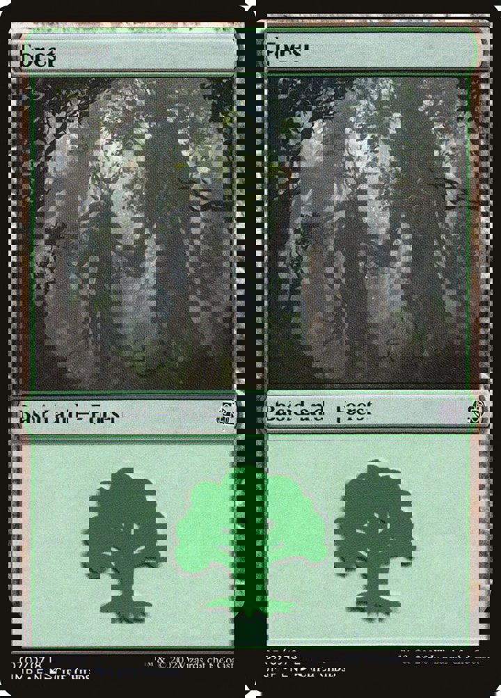 Forest (V.1)