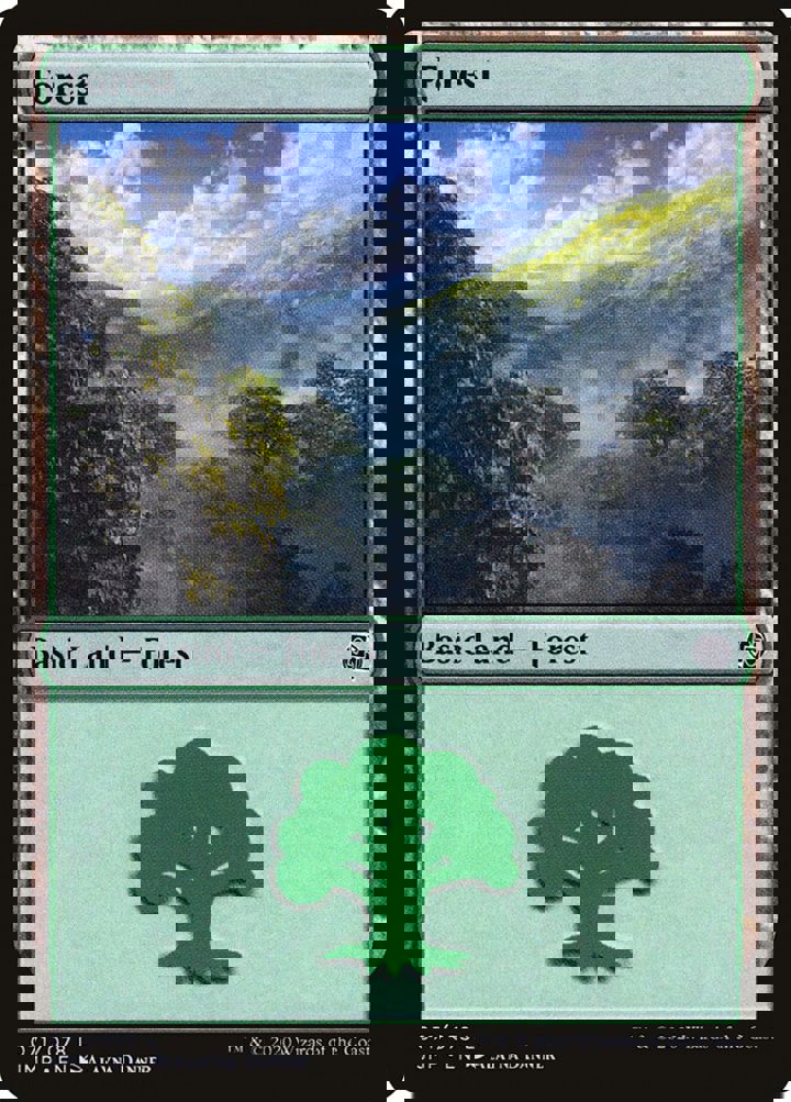 Forest (V.2)