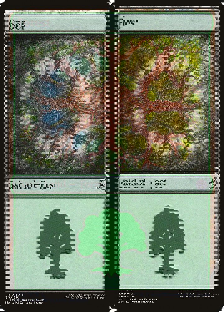 Forest (V.3)