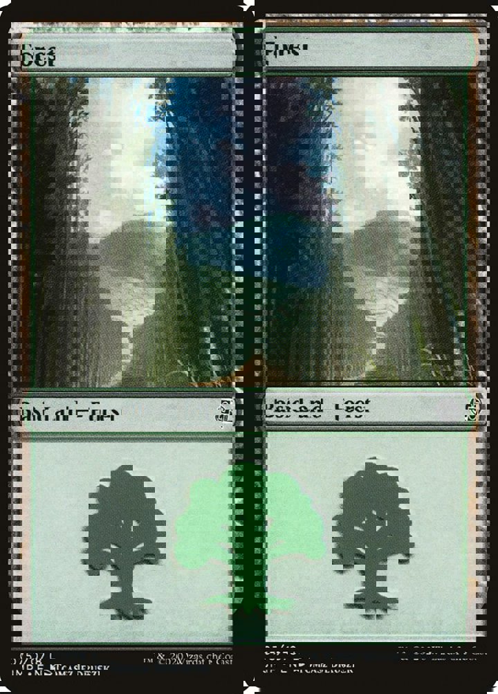 Forest (V.6)
