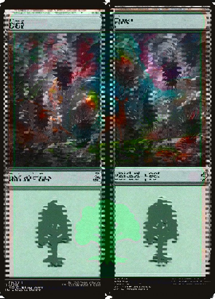 Forest (V.7)