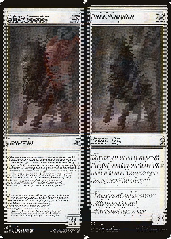 Cathar's Companion