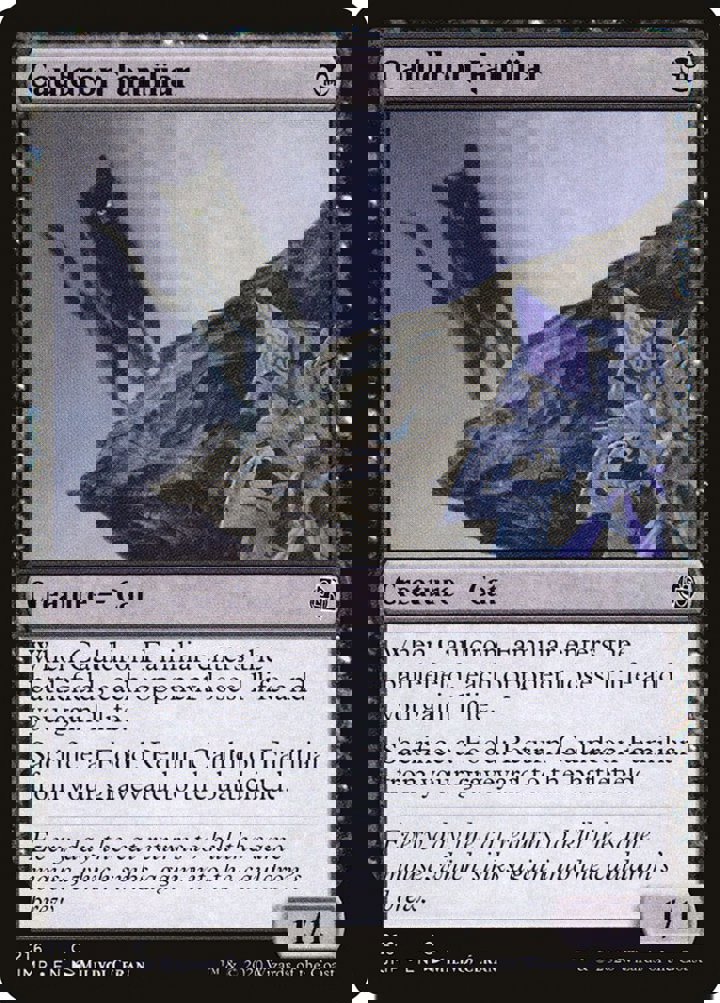 Cauldron Familiar
