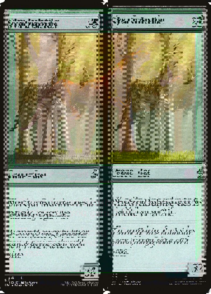 Sylvan Brushstrider