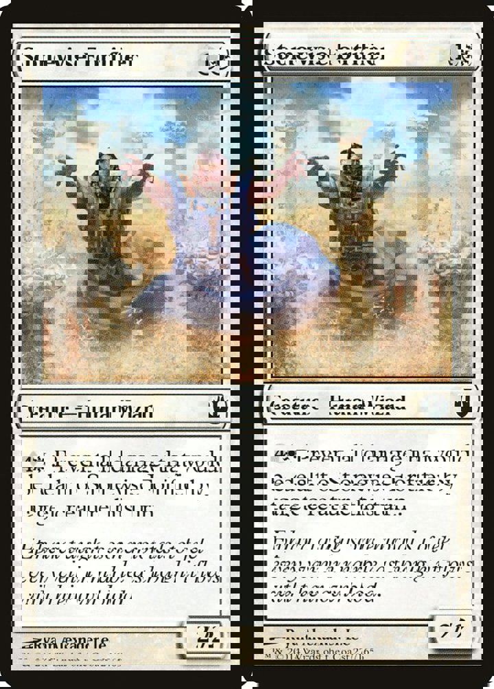 Stonewise Fortifier