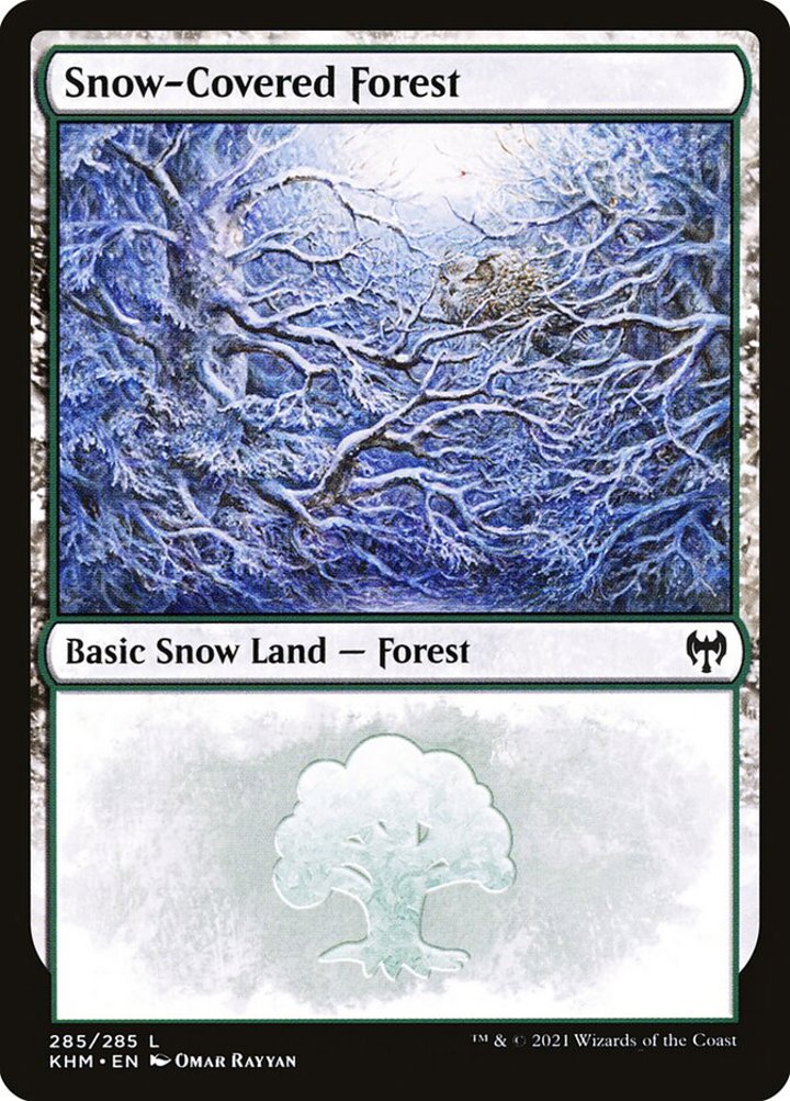 Snow-Covered Forest (V.2)