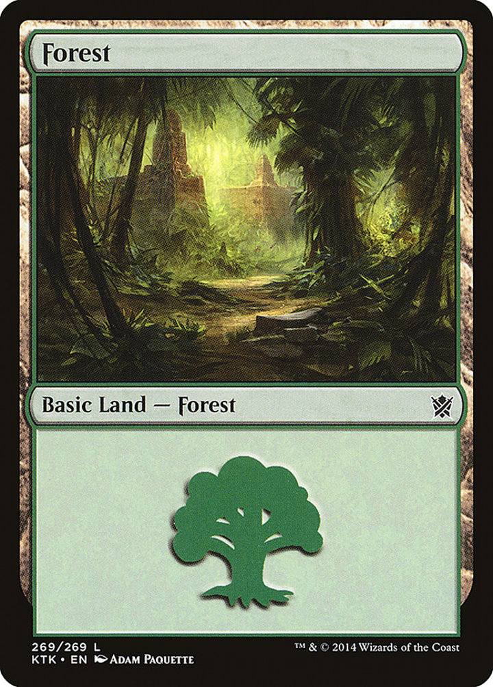 Forest (V.4)