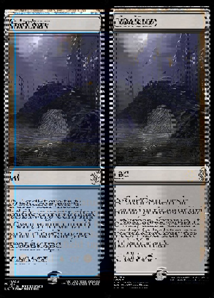 Choked Estuary