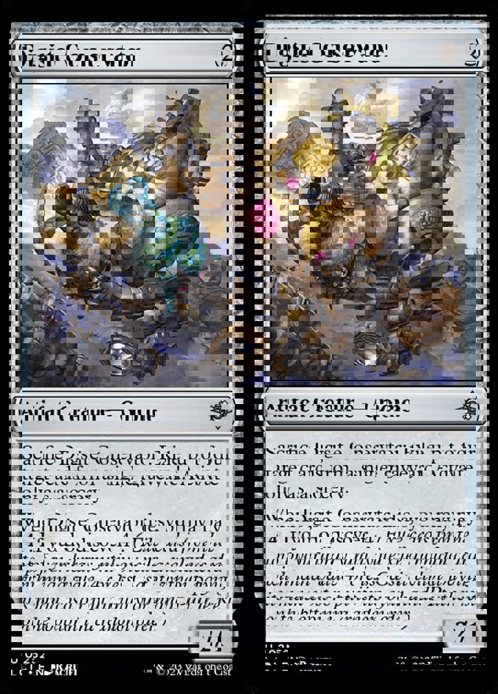 Digsite Conservator
