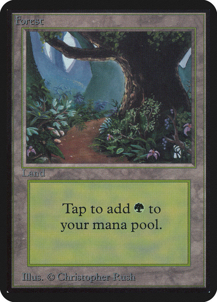 Forest (V.2)