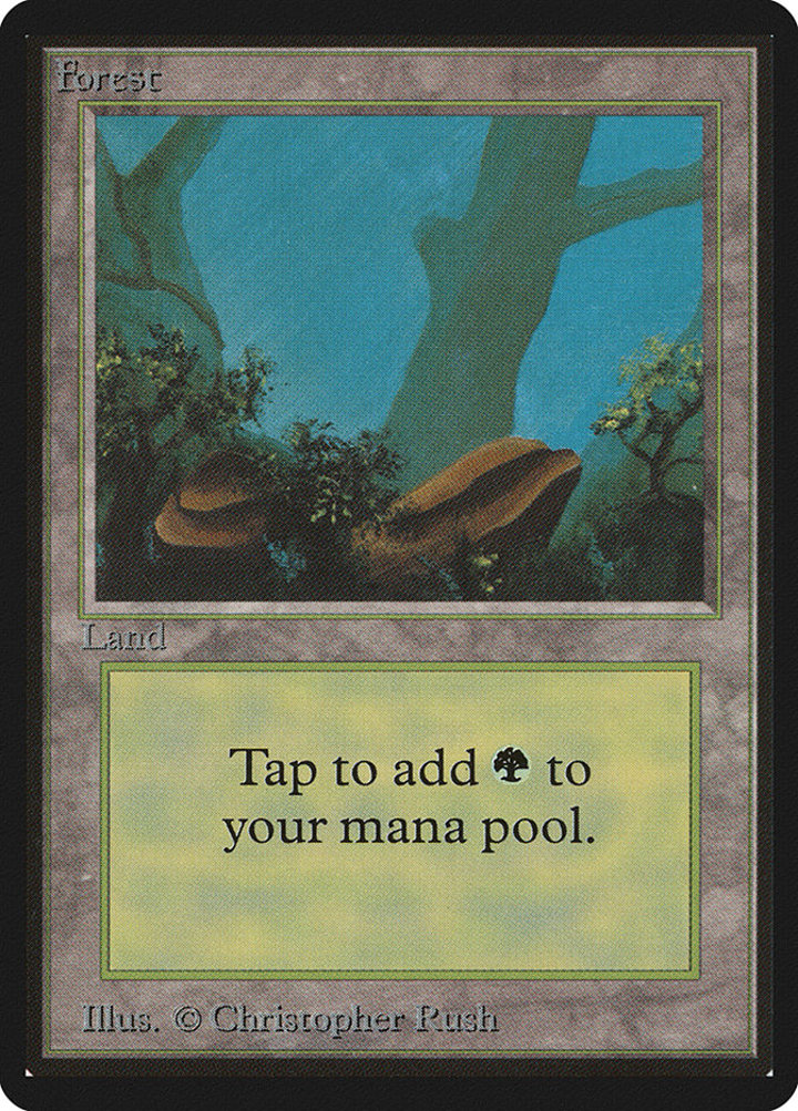 Forest (V.1)
