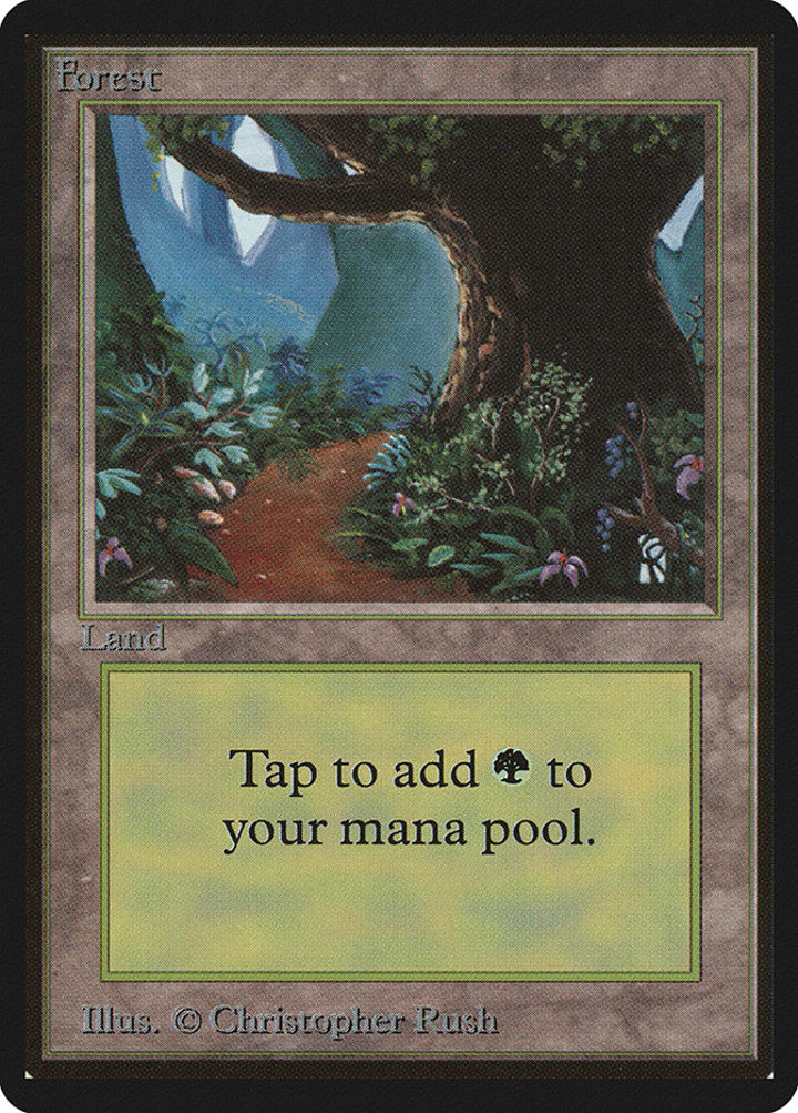 Forest (V.2)