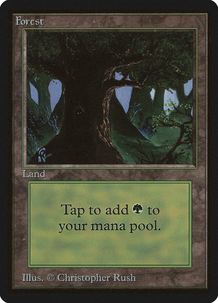 Forest (V.3)