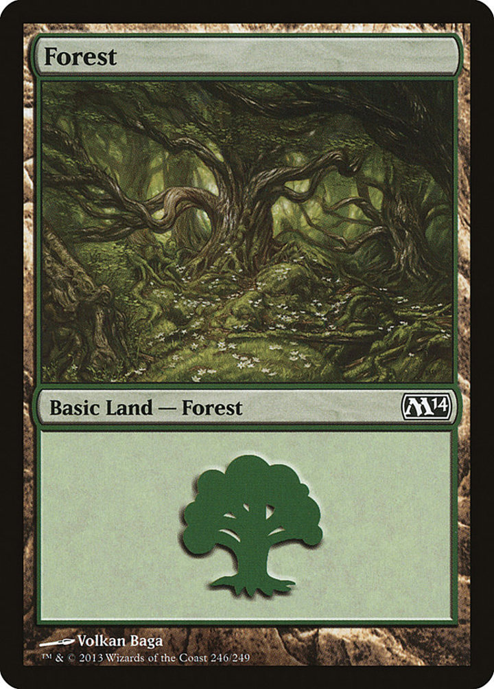 Forest (V.1)