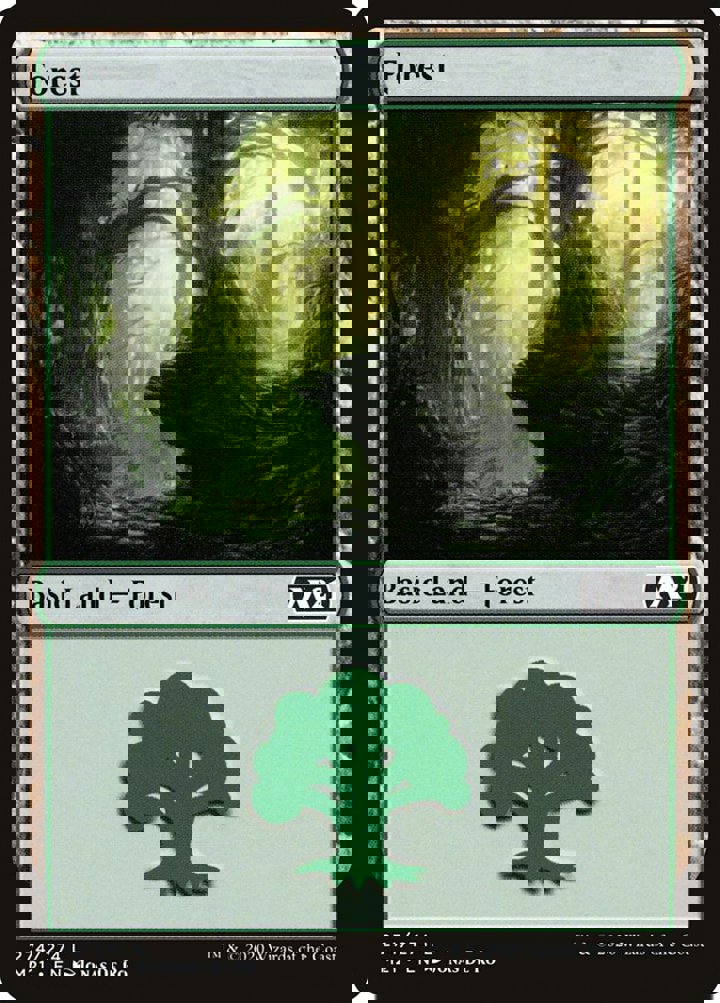 Forest (V.3)