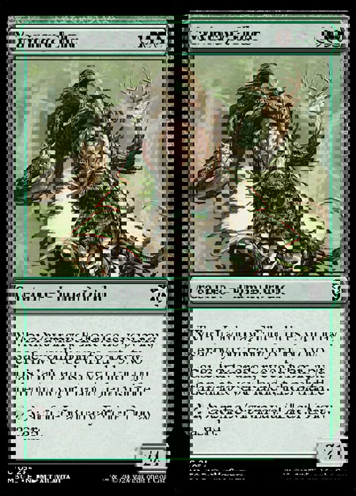 Yavimaya Elder