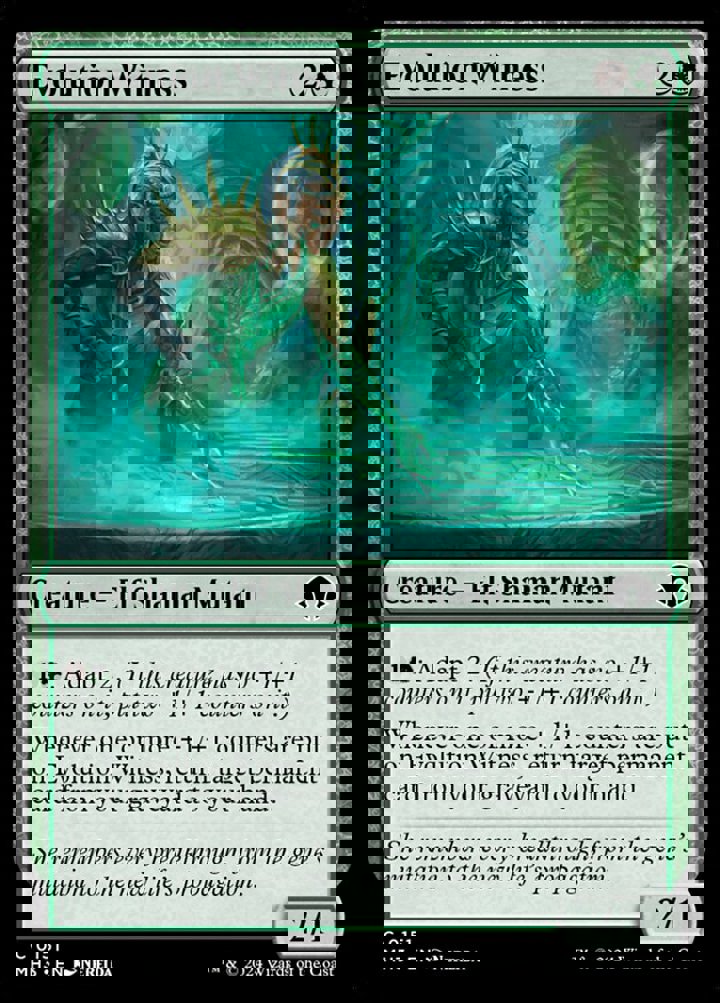 Evolution Witness