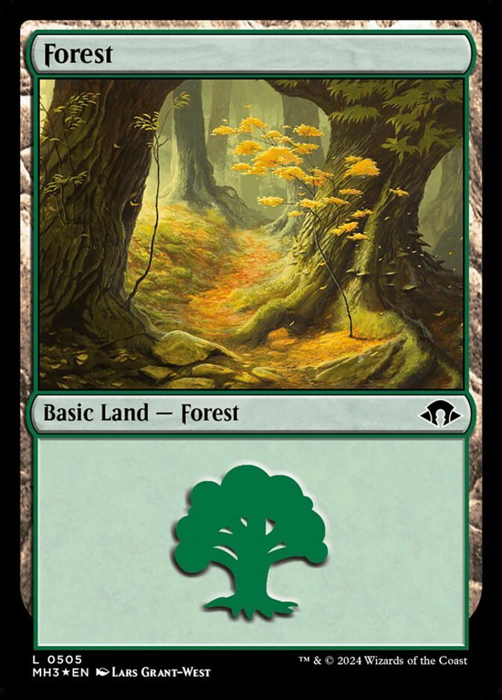 Forest (V.1)
