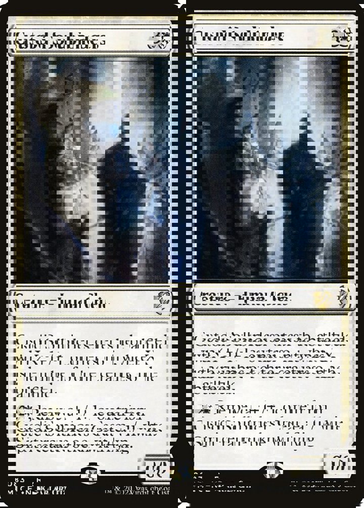 Custodi Soulbinders