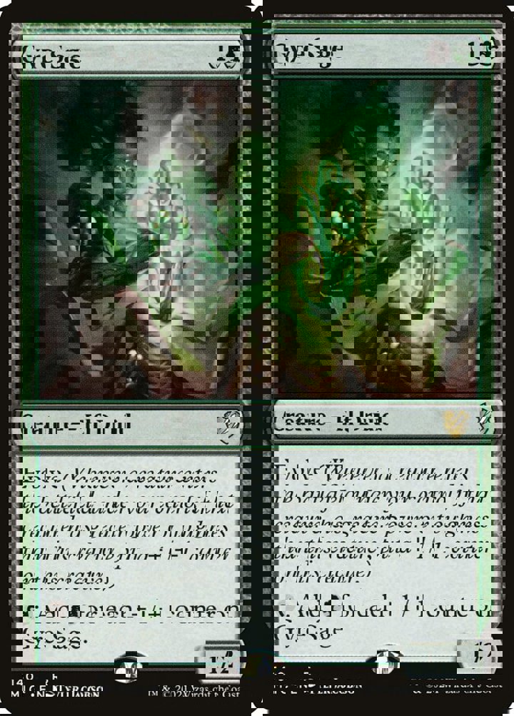 Gyre Sage