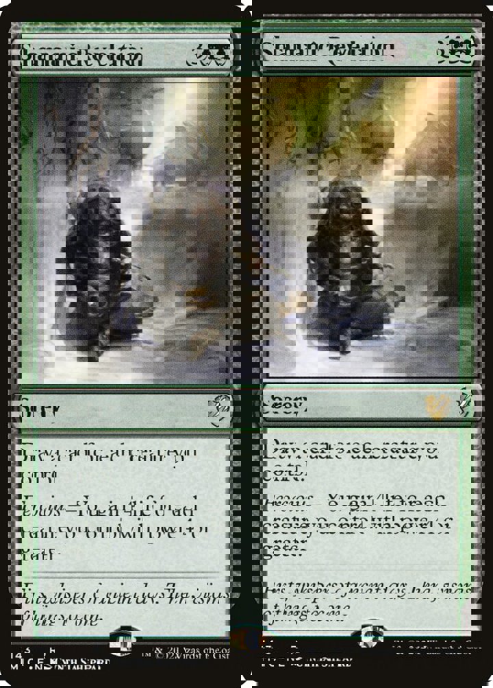 Shamanic Revelation