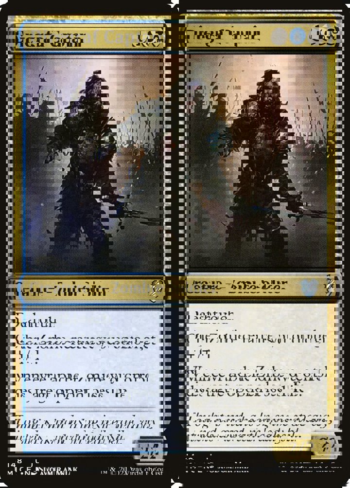 Diregraf Captain