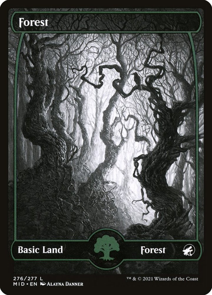 Forest (V.1)