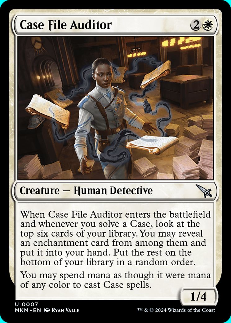 Case File Auditor (V.2)