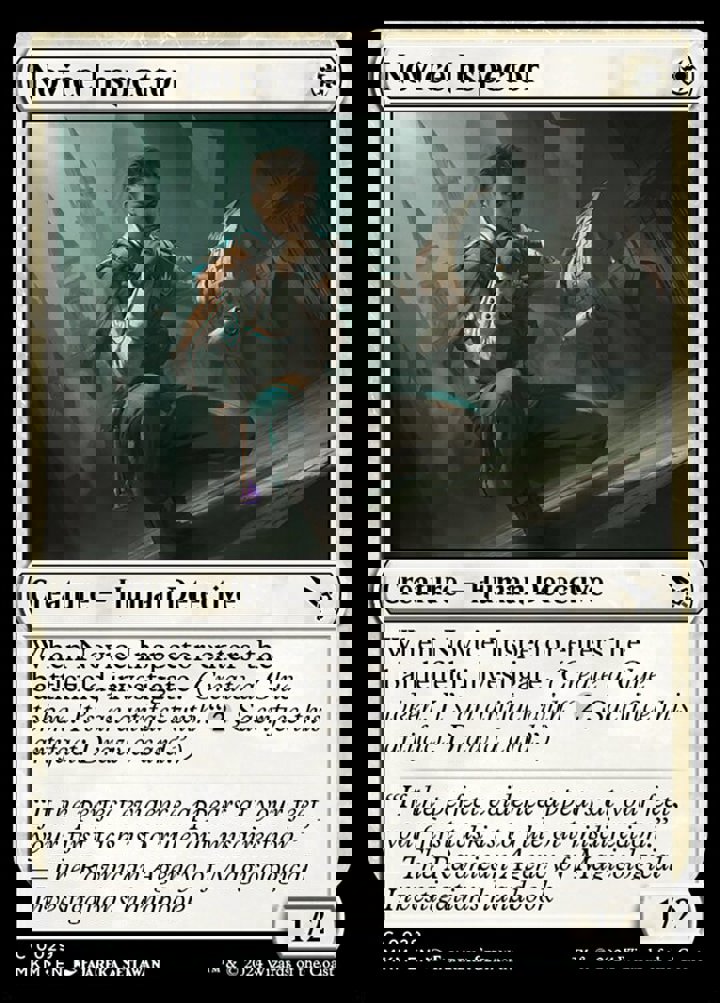 Novice Inspector