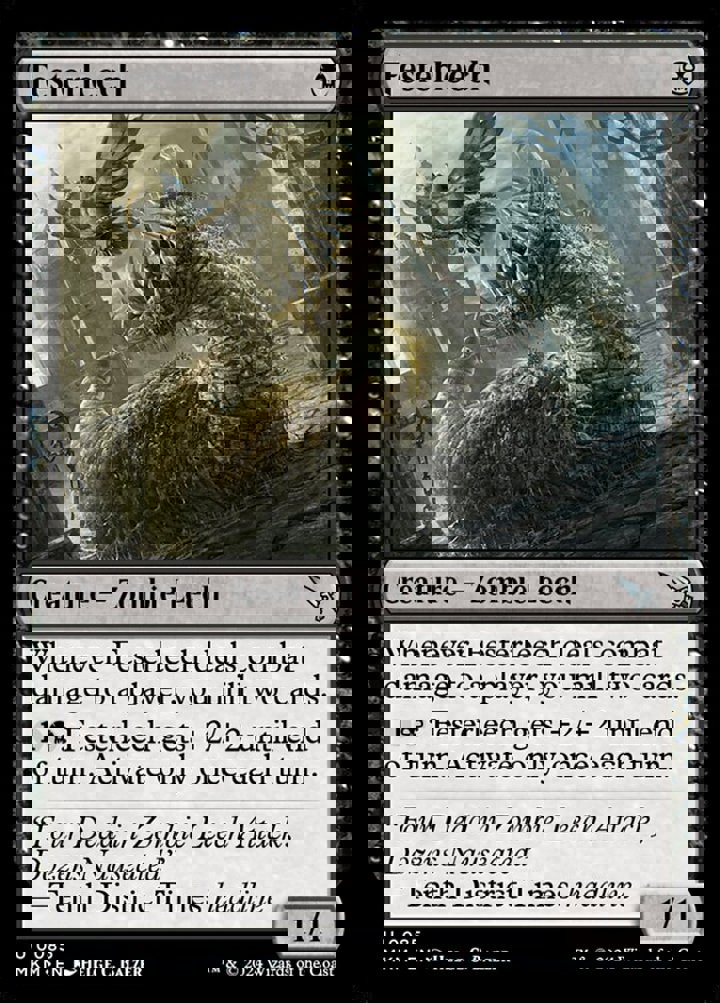 Festerleech
