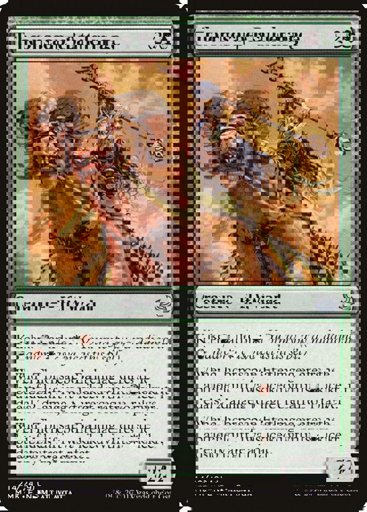 Thornscape Battlemage