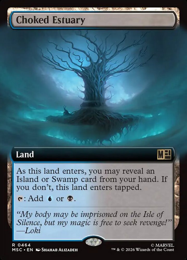 Choked Estuary