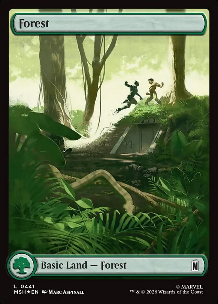 Forest (V.1)