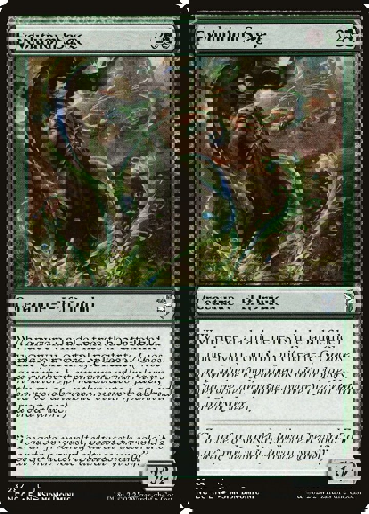 Evolution Sage