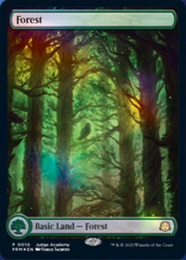 Forest (V.2)