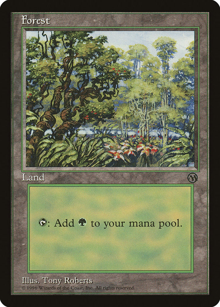 Forest (V.1)