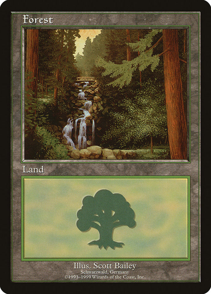 Forest (V.1)