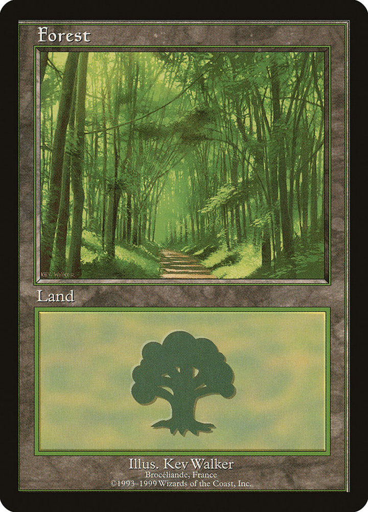 Forest (V.2)