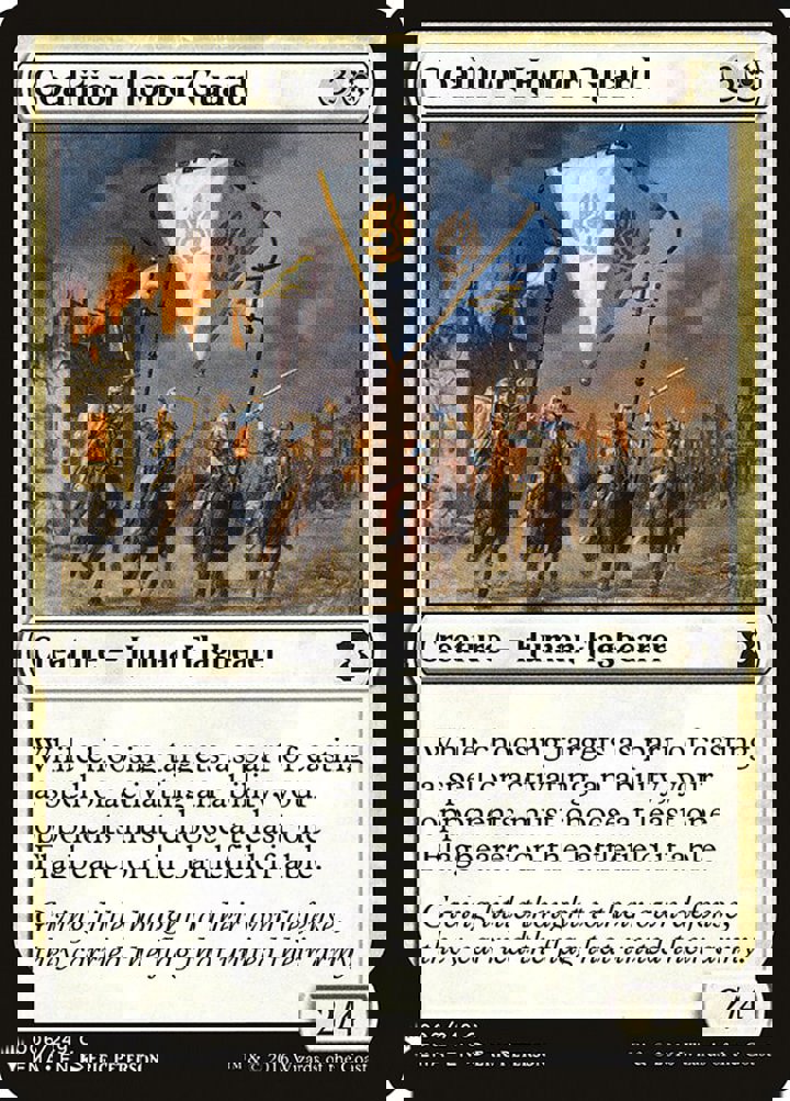 Coalition Honor Guard
