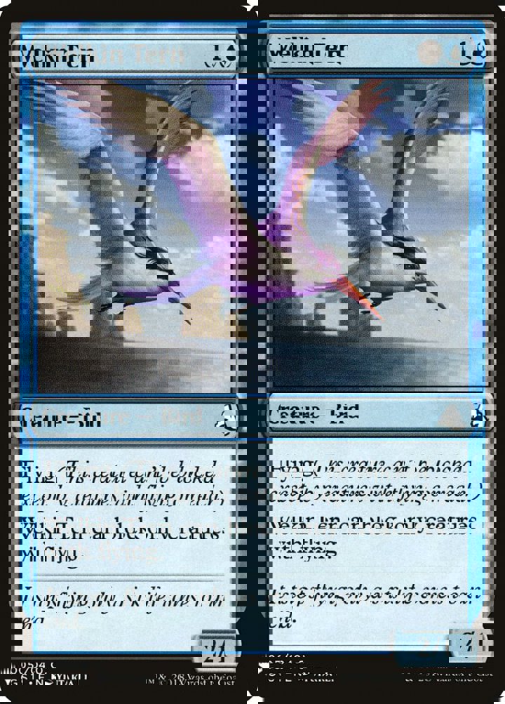Welkin Tern