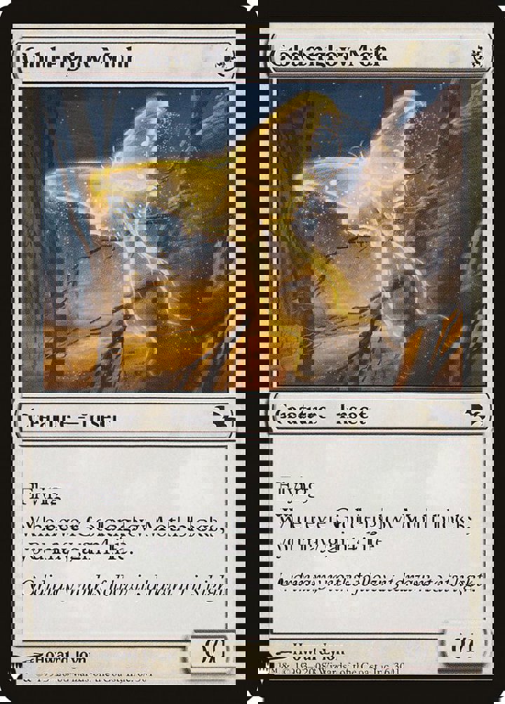 Goldenglow Moth