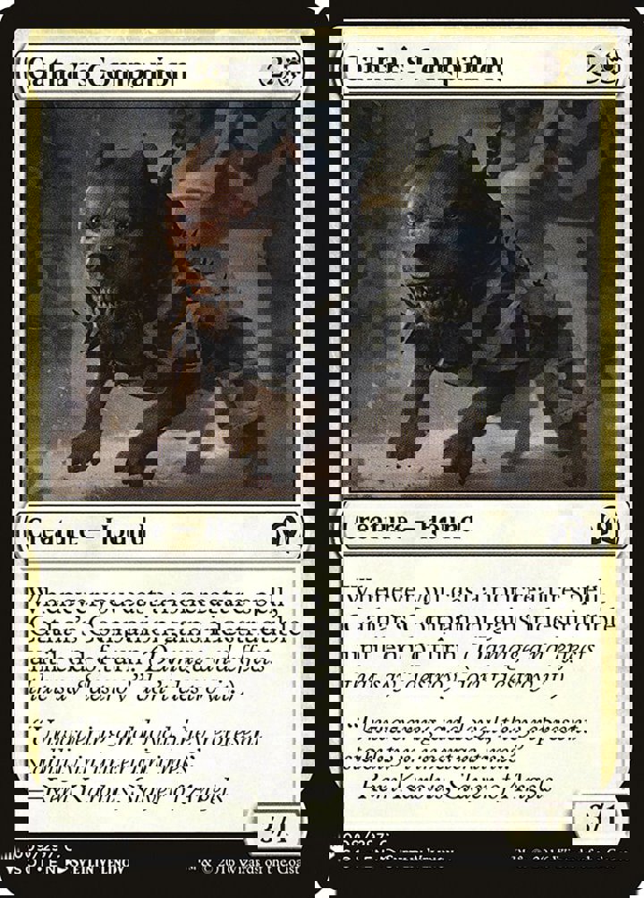 Cathar's Companion